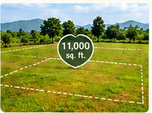 Illustrative farmhouse plot layout shown in the supplied reference image